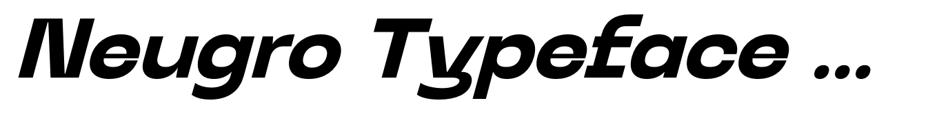 Neugro Typeface Bold Italic